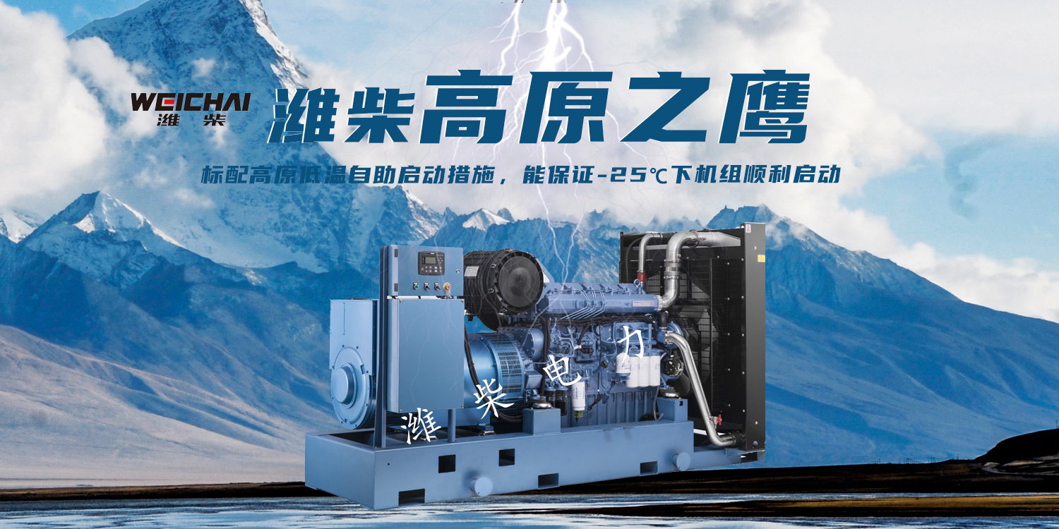 内蒙古潍柴电力设备有限公司
